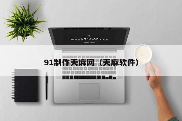 91制作天麻网（天麻软件）