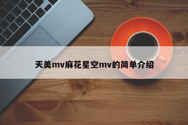 天美mv麻花星空mv的简单介绍